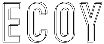 Ecoy partner spotlight